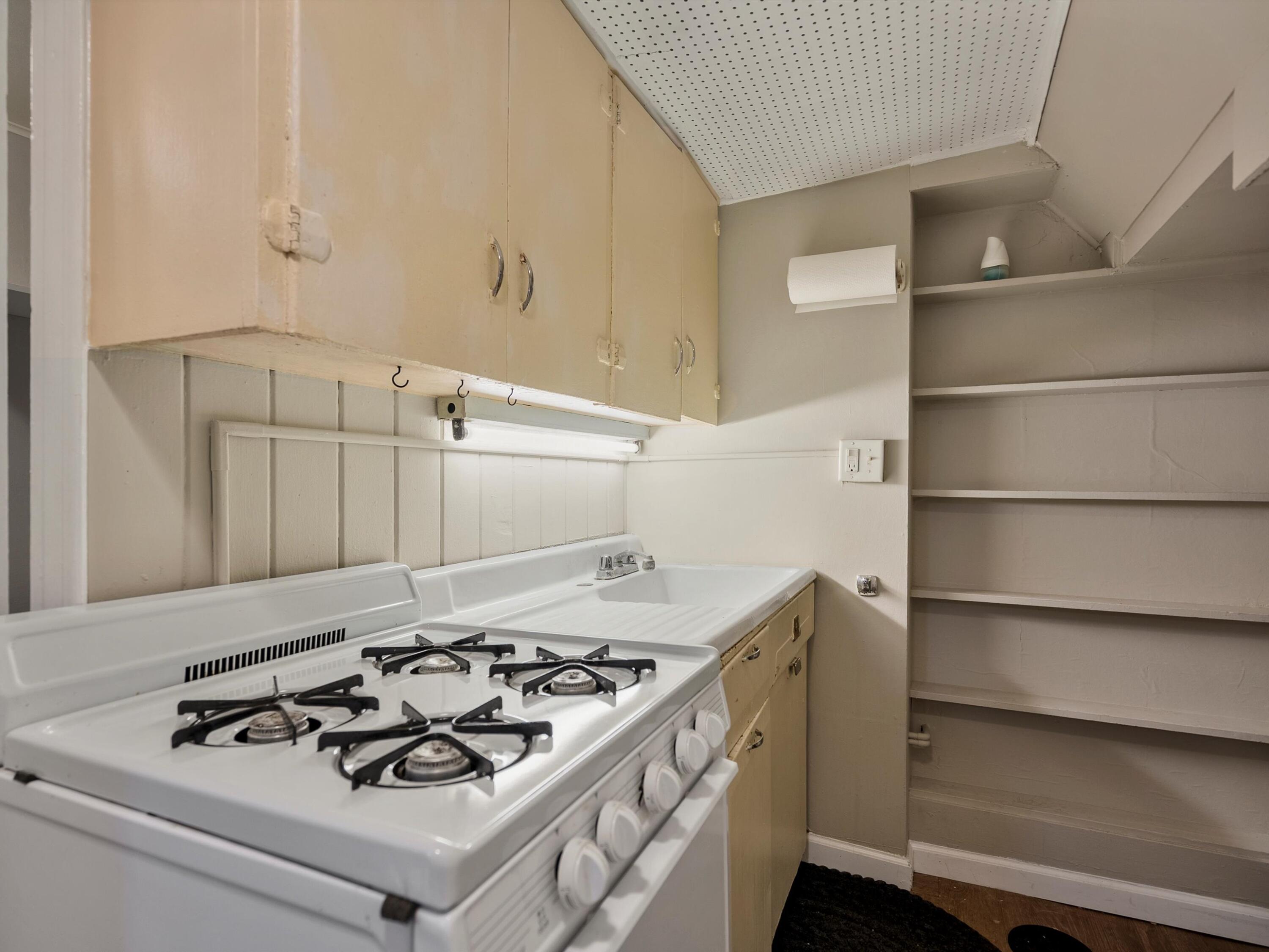 1136 Prospect Street Ann Arbor, MI 48104 - Photo 26 of 67 25-DSC09259