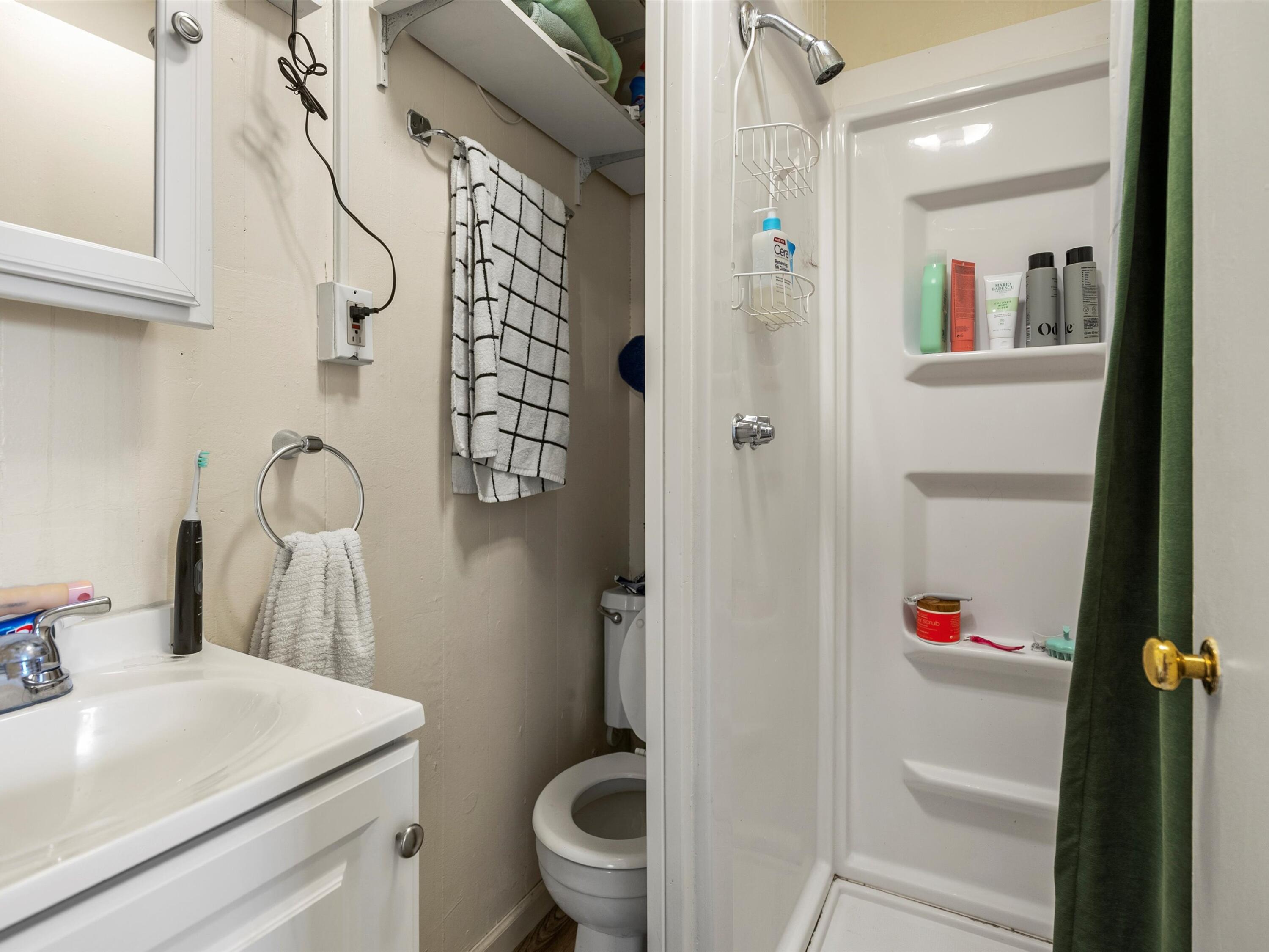 1136 Prospect Street Ann Arbor, MI 48104 - Photo 51 of 67 51-DSC09434