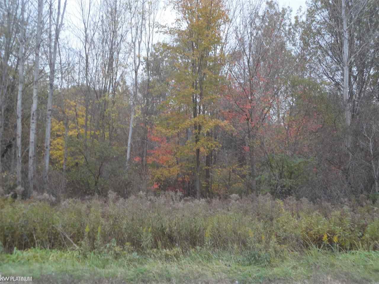 0 Sparling Road Smiths Creek, MI 48074 - Photo 2 of 2