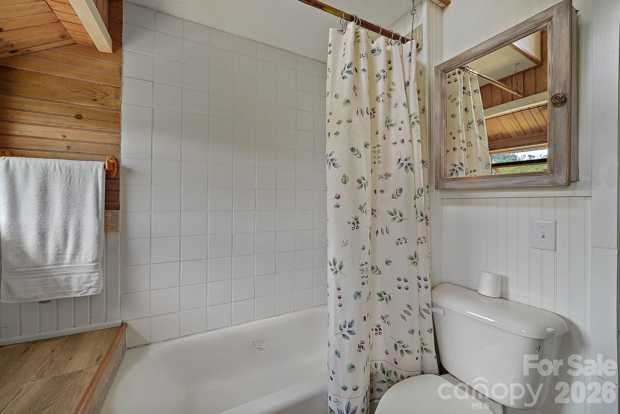 244 Flat Springs Road Elk Park, NC 28622 - Photo 11 of 22