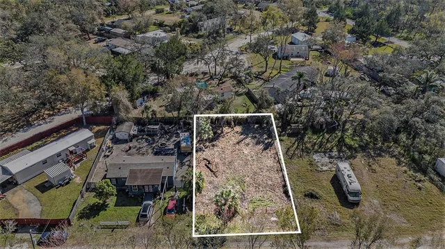 a view of a backyard with large trees