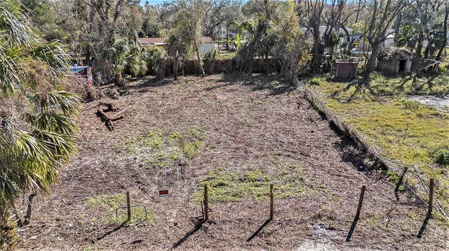 a view of a plant with lots of bushes