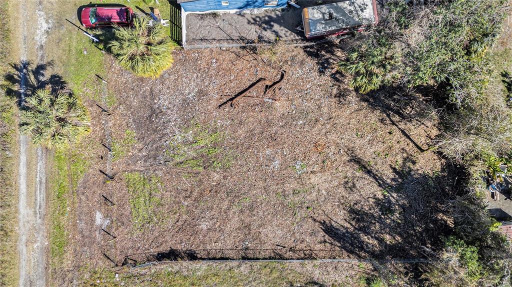 Polo Street New Port Richey, FL 34654 - Photo 3 of 22 a view of a plant with lots of bushes