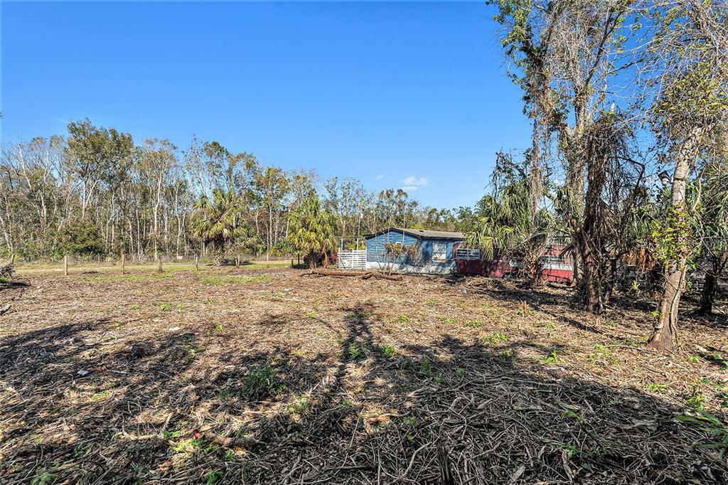 Polo Street New Port Richey, FL 34654 - Photo 8 of 22 a view of outdoor space with trees all around