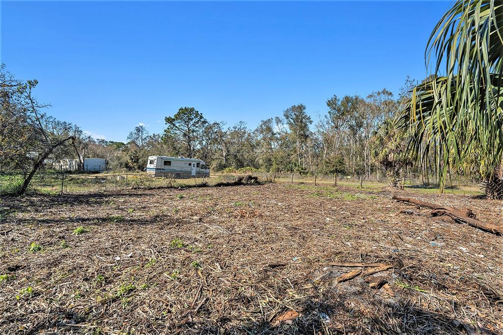 Polo Street New Port Richey, FL 34654 - Photo 9 of 22 a view of dirt field with trees