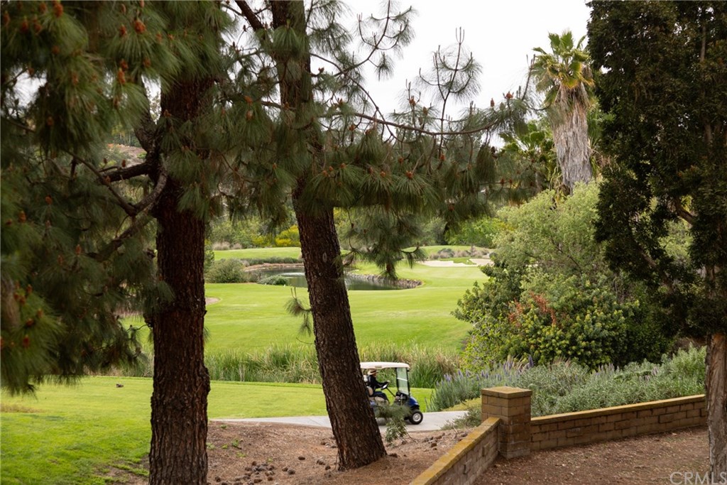 26027 Blascos, Unit 49 Mission Viejo, CA 92691 - Photo 19 of 23