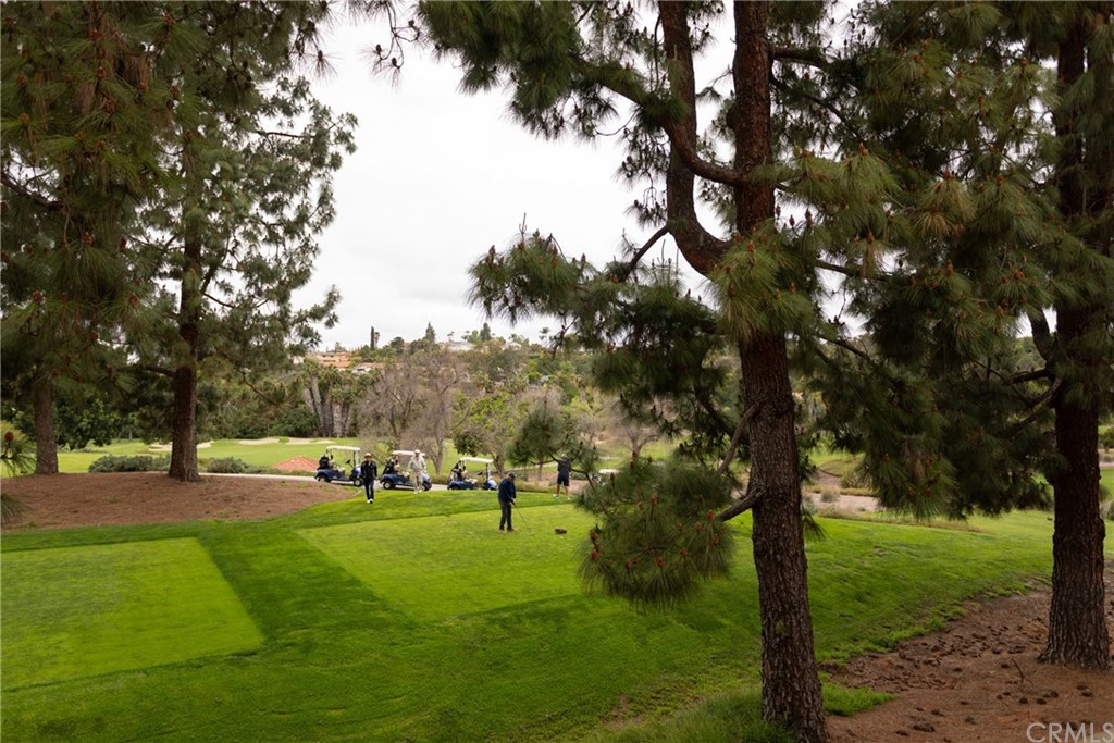 26027 Blascos, Unit 49 Mission Viejo, CA 92691 - Photo 20 of 23