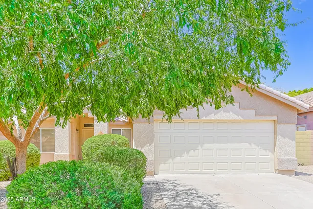 front view of a house with a tree