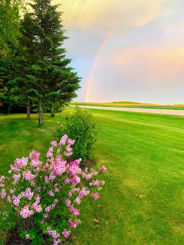 $300,000 | 1946 Lake Street East, Osakis, MN 56360