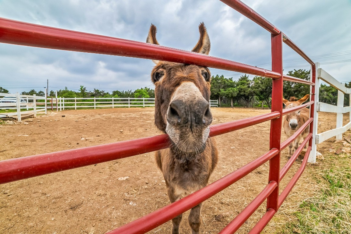 17008 Trails End Road Leander, TX 78641 - Photo 26 of 26 a view of a building from a balcony