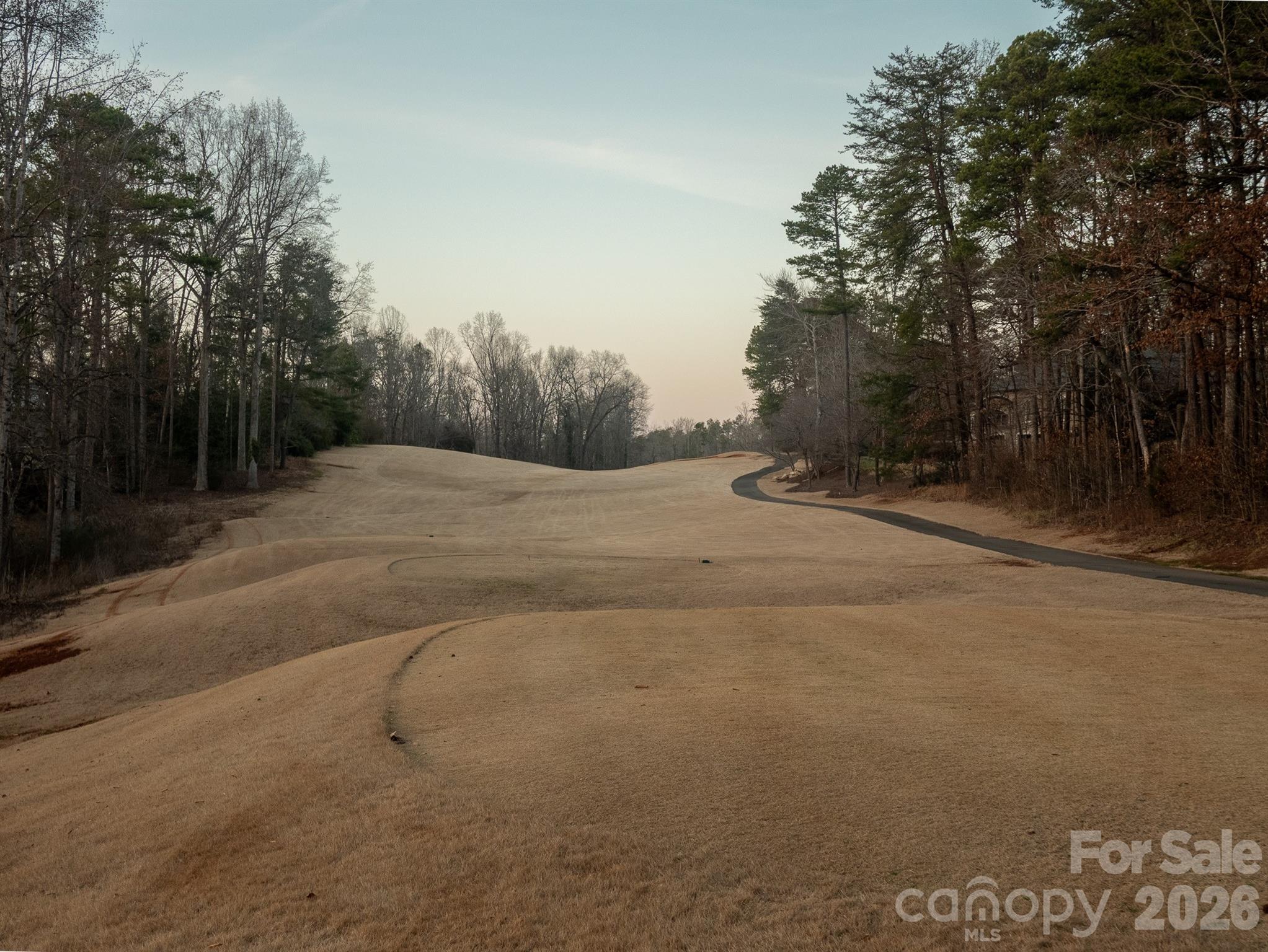 0 Plantation Drive Rutherfordton, NC 28139 - Photo 3 of 6