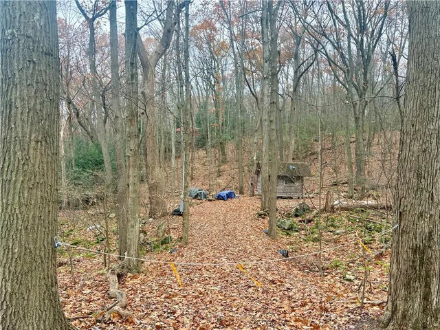 a view of a backyard of a house