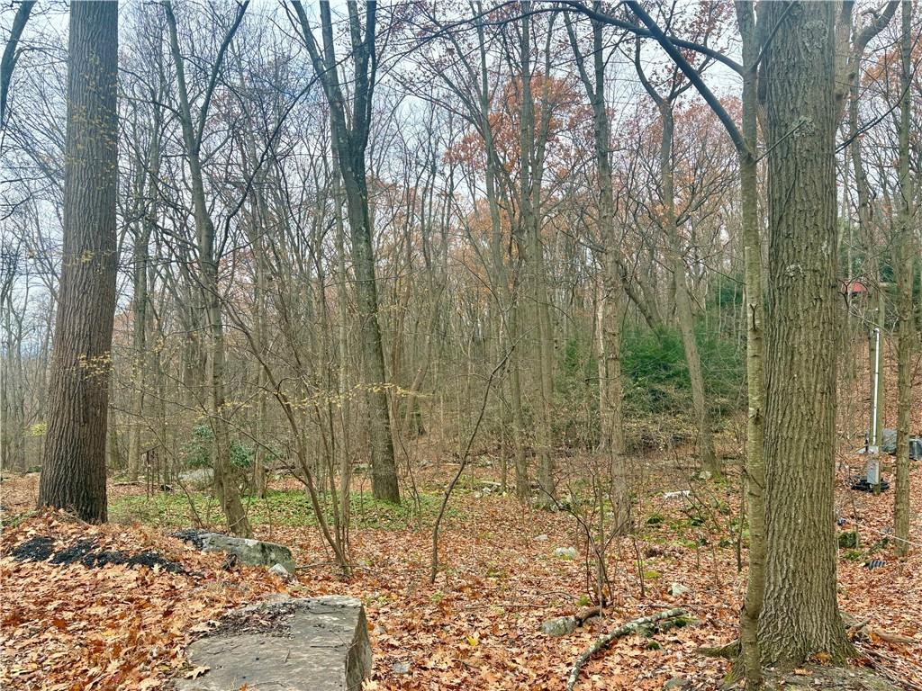150 Maple Road Acme, PA 15610 - Photo 7 of 10 a view of a pathway
