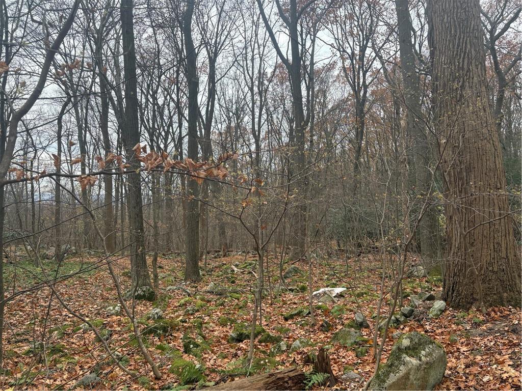 150 Maple Road Acme, PA 15610 - Photo 8 of 10 a bathroom with a shower