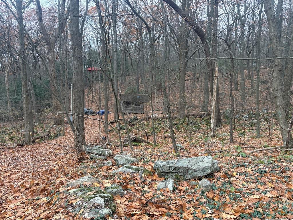 150 Maple Road Acme, PA 15610 - Photo 10 of 10 a backyard of a house with lots of green space