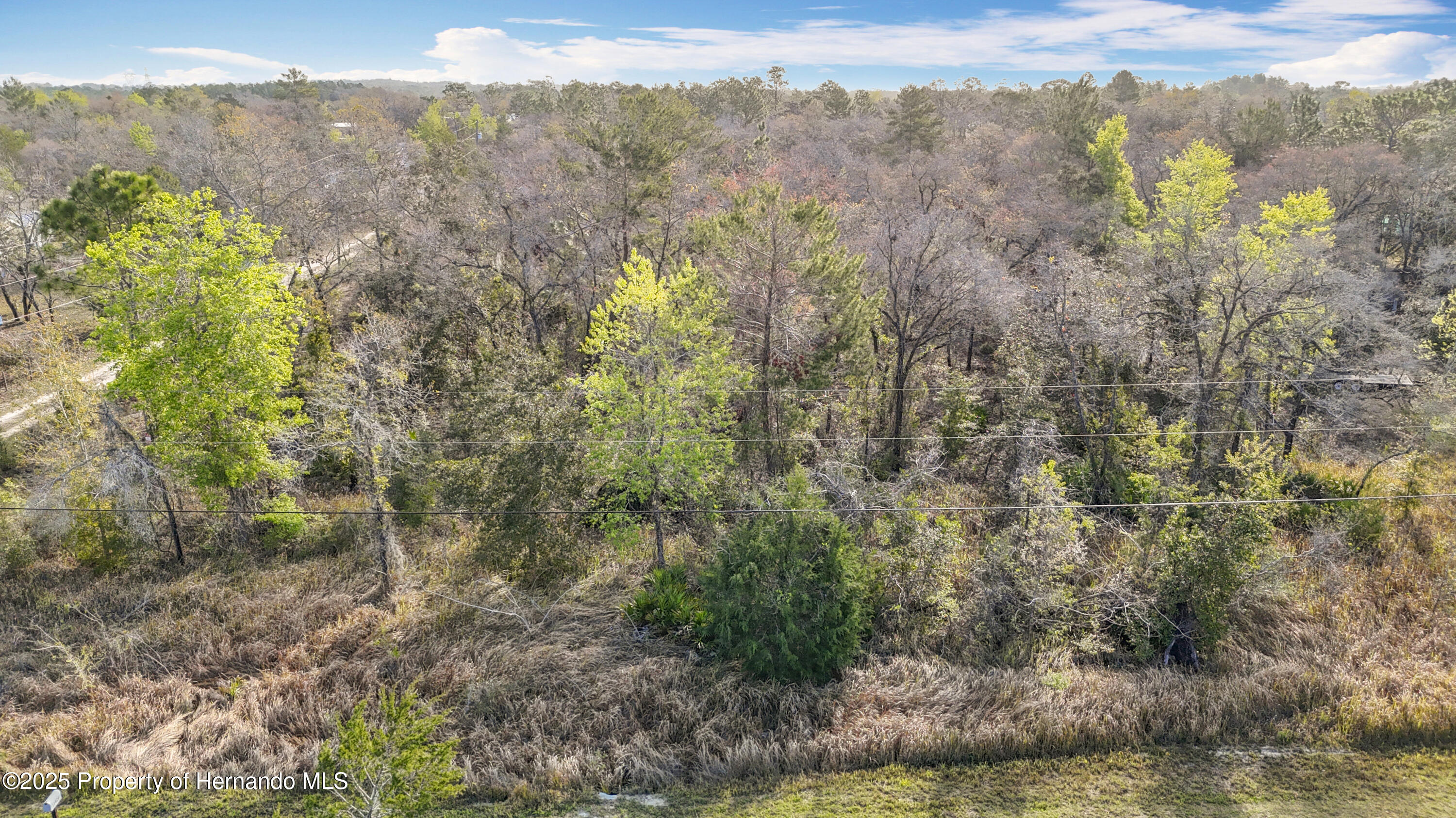 0 Maripoe Road Weeki Wachee, FL 34614 - Photo 16 of 39