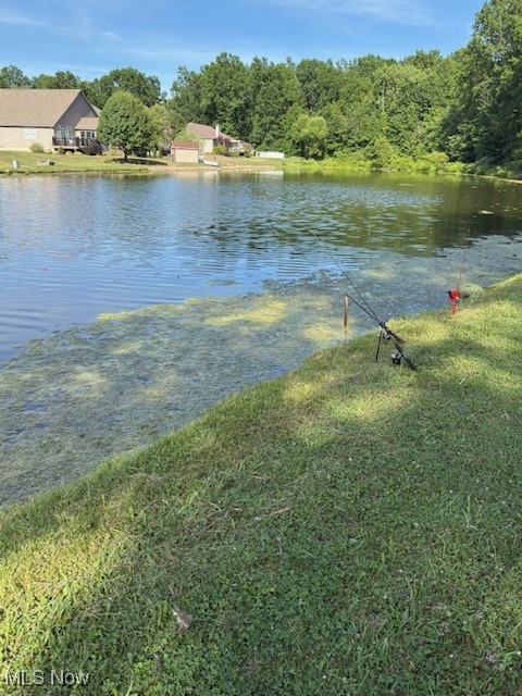 3868 Cook Road Rootstown, OH 44272 - Photo 43 of 44 View of the pond where you can enjoy some relaxing time fishing!