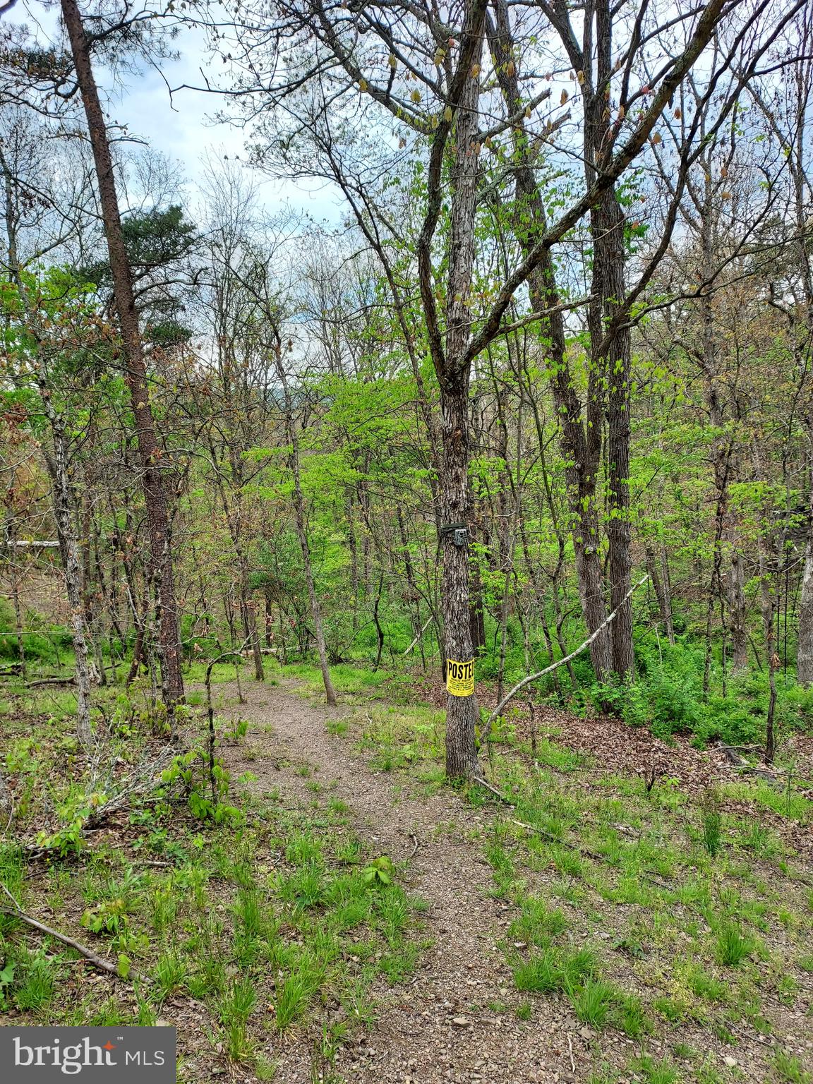 216 Garland Road Needmore, PA 17238 - Photo 27 of 38 a view of outdoor space with deck and yard