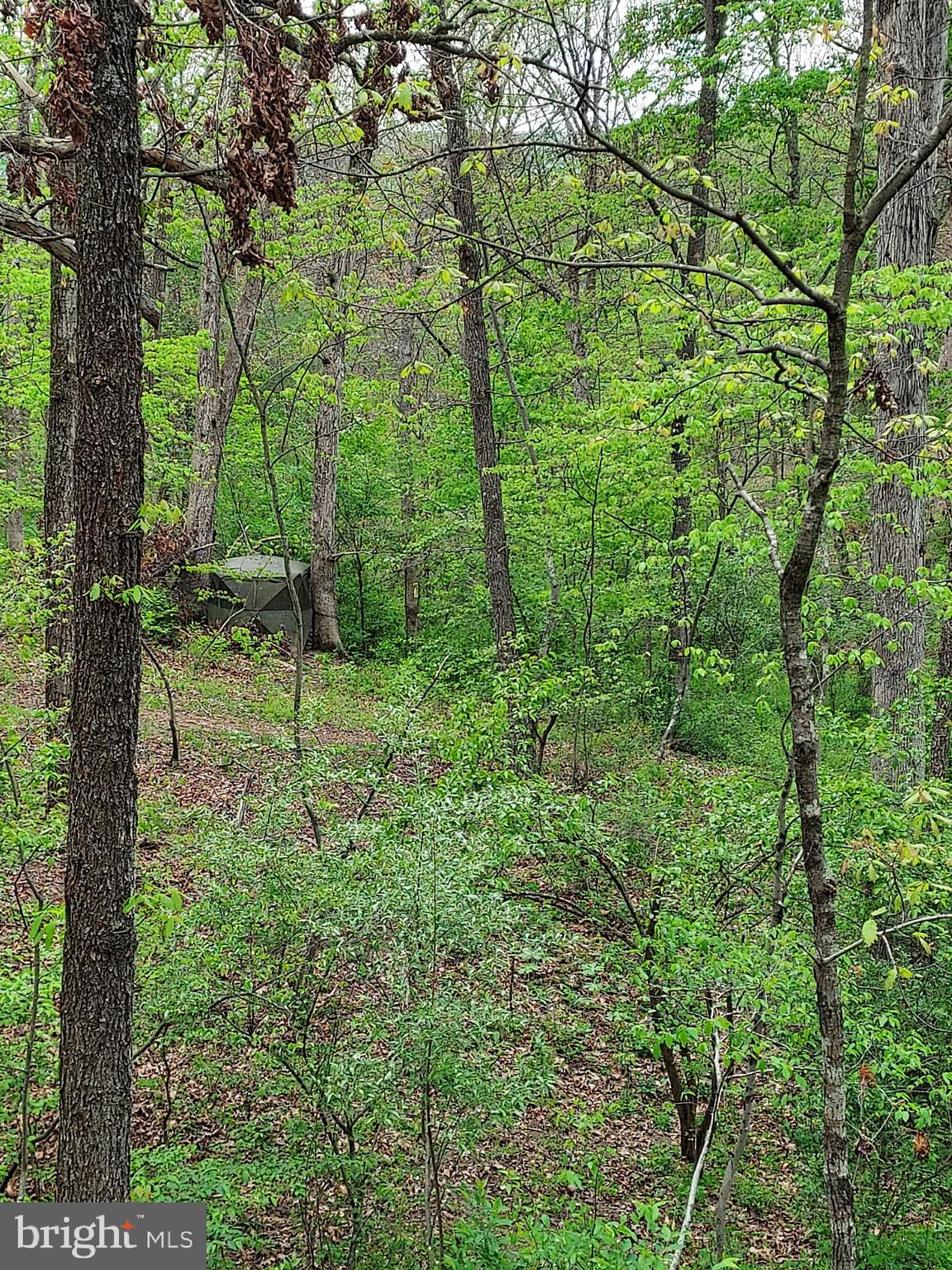 216 Garland Road Needmore, PA 17238 - Photo 28 of 38 a view of a garden