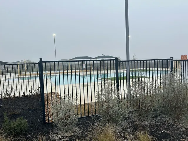 a view of water with palm trees