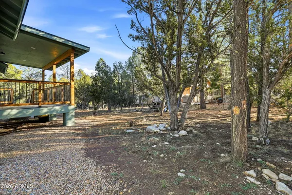 a view of a yard