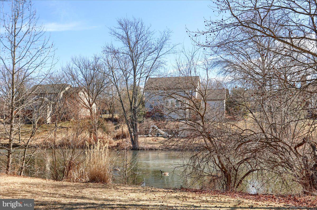 1240 William Street Hanover, PA 17331 - Photo 4 of 56 Gallery Image 4