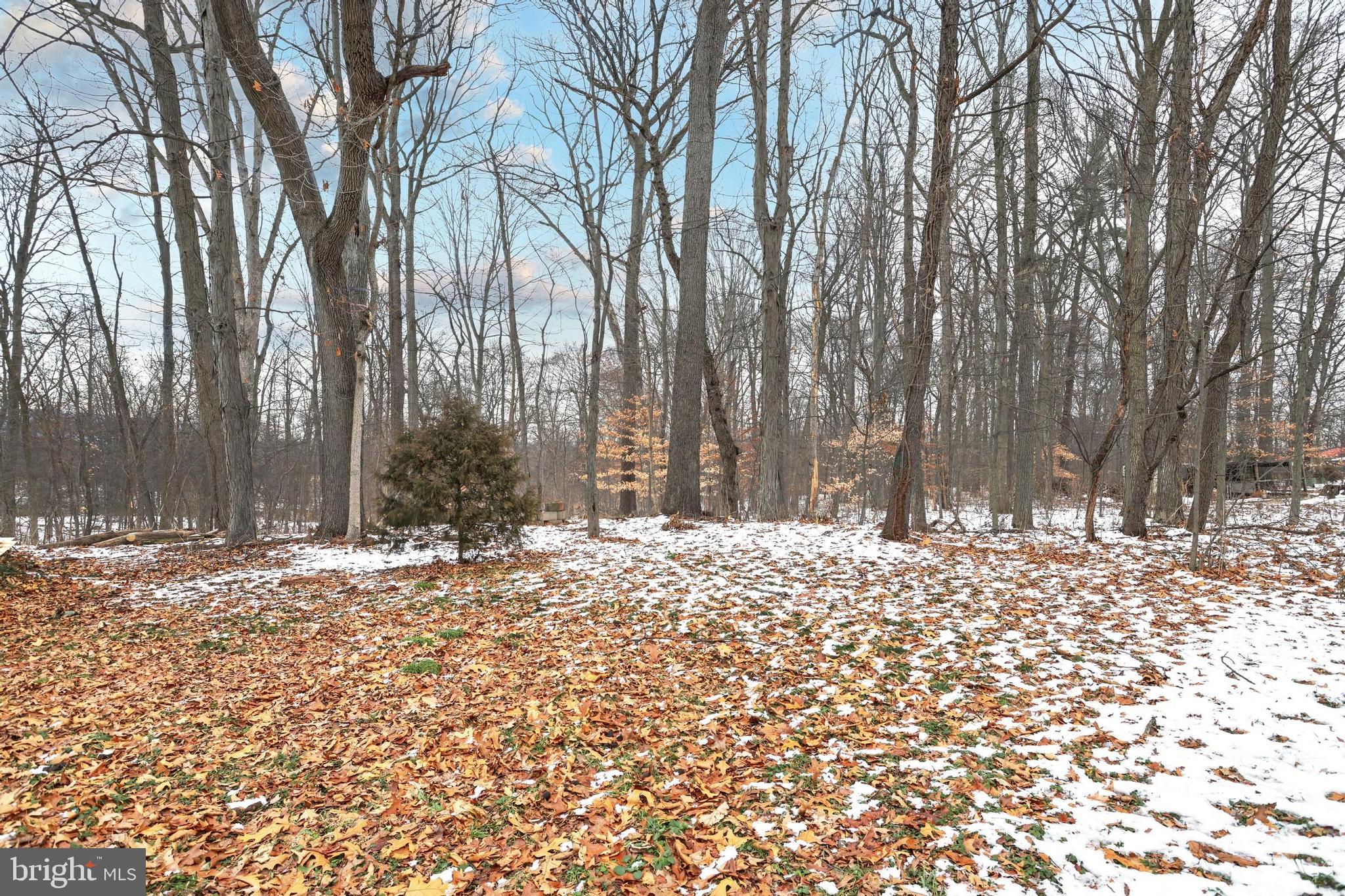 299 Bonners Hill Road York Springs, PA 17372 - Photo 8 of 26 Gallery Image 8