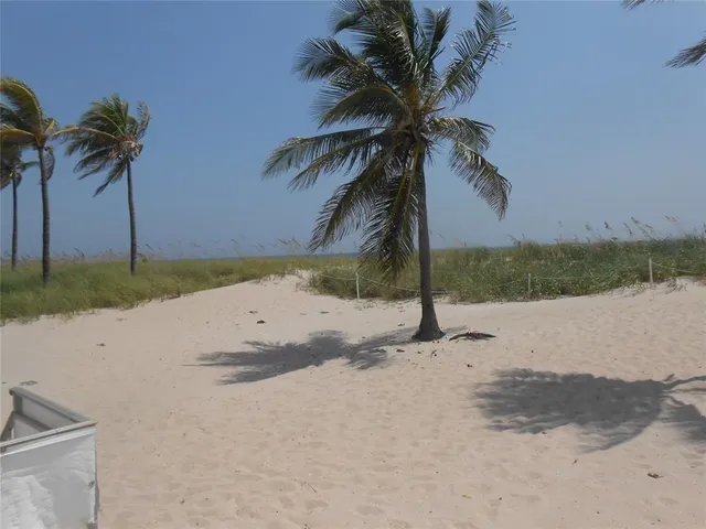 a view of beach and palm tree