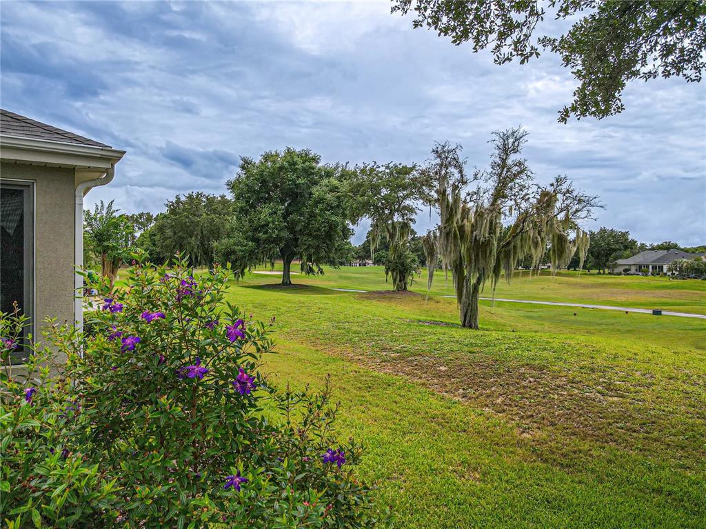 13260 Southeast 92nd Court Road Summerfield, FL 34491 - Photo 9 of 62