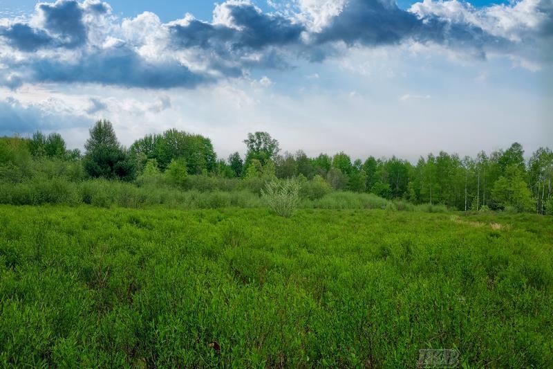 58-acres Northeast County Line Road Coleman, MI 48618 - Photo 42 of 45