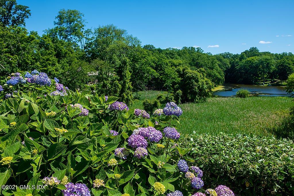 200 Clapboard Ridge Road Greenwich, CT 06831 - Photo 47 of 55 Colorful Hydrangeas