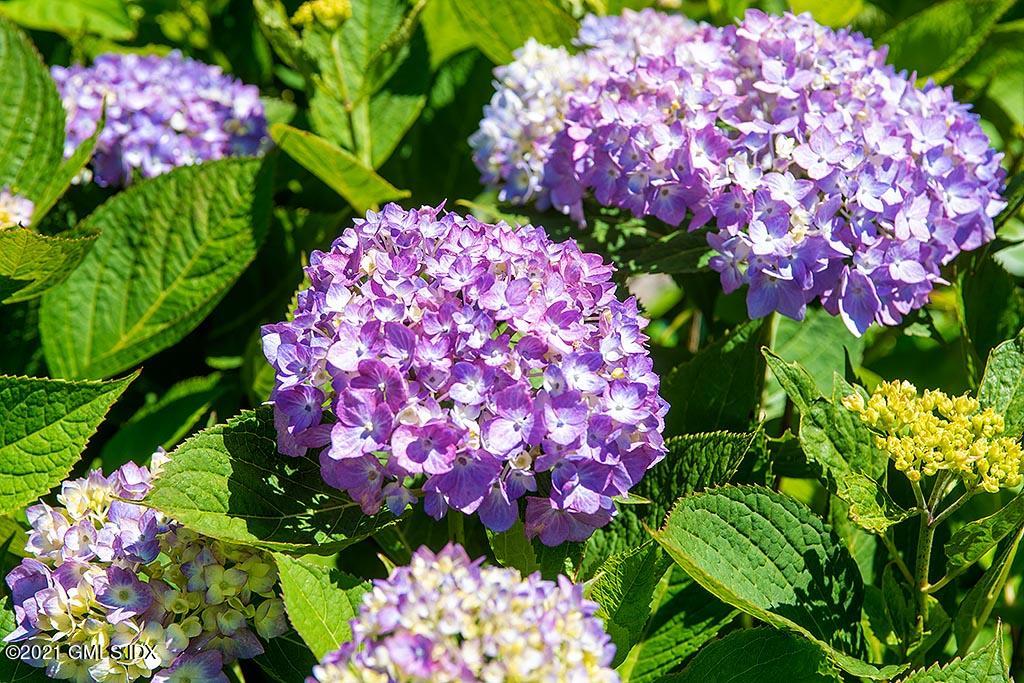 200 Clapboard Ridge Road Greenwich, CT 06831 - Photo 54 of 55 Pretty as a Picture