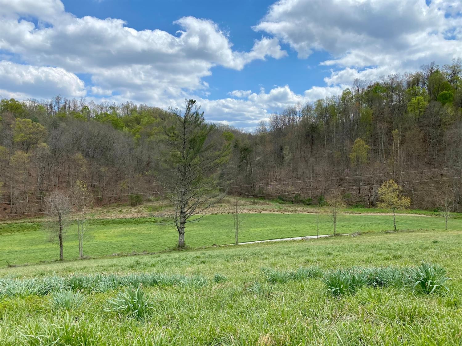 3145 Campton-Baptist Road Campton, KY 41301 - Photo 10 of 37 Photo 10