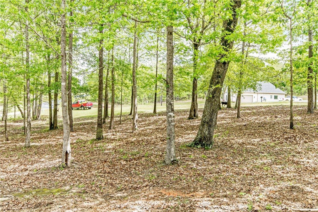310 Asbury Ridge Road Tallassee, AL 36078 - Photo 4 of 48 Gallery Image 4