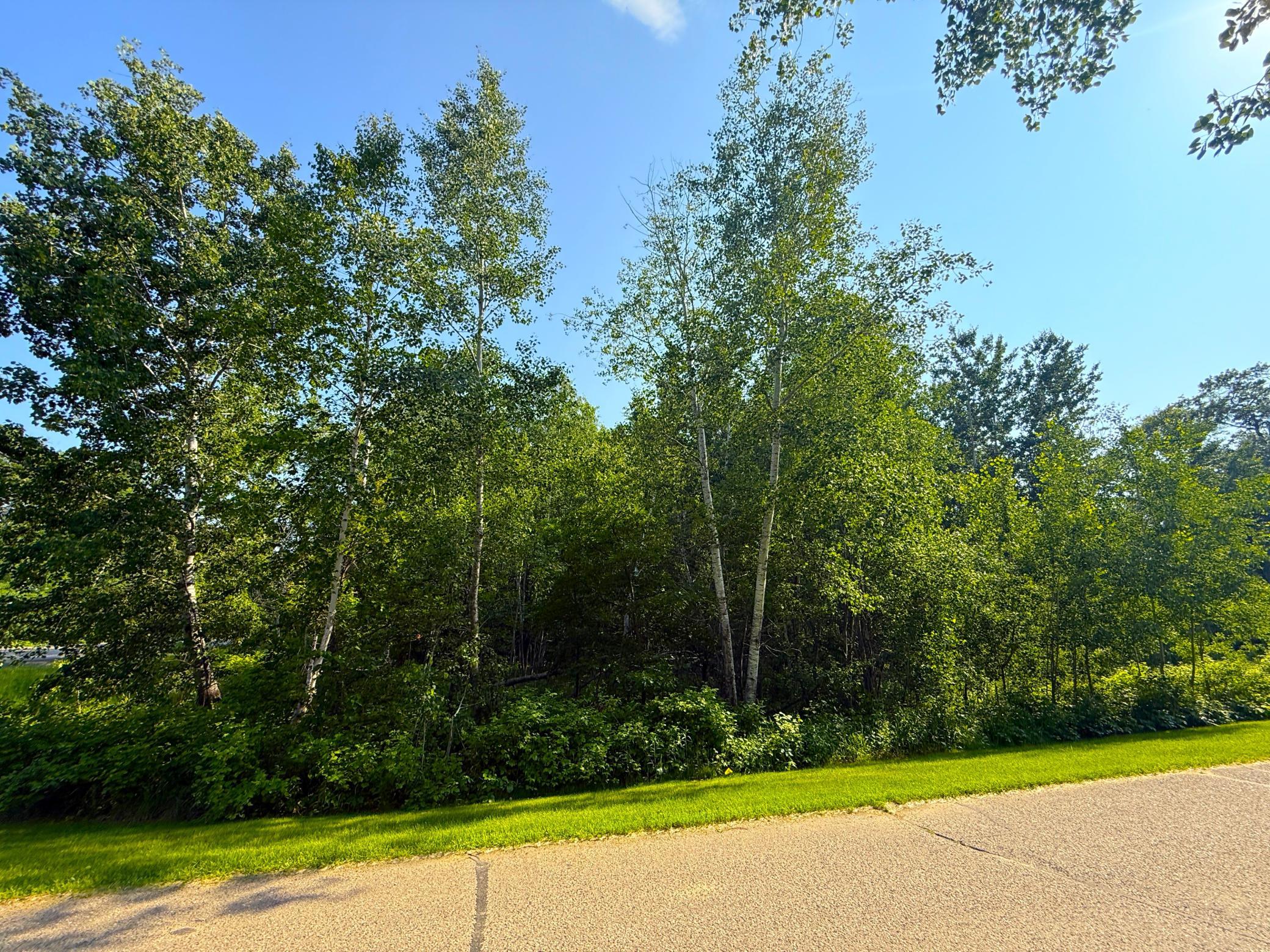 0 Maplewood Drive Brainerd, MN 56401 - Photo 3 of 8