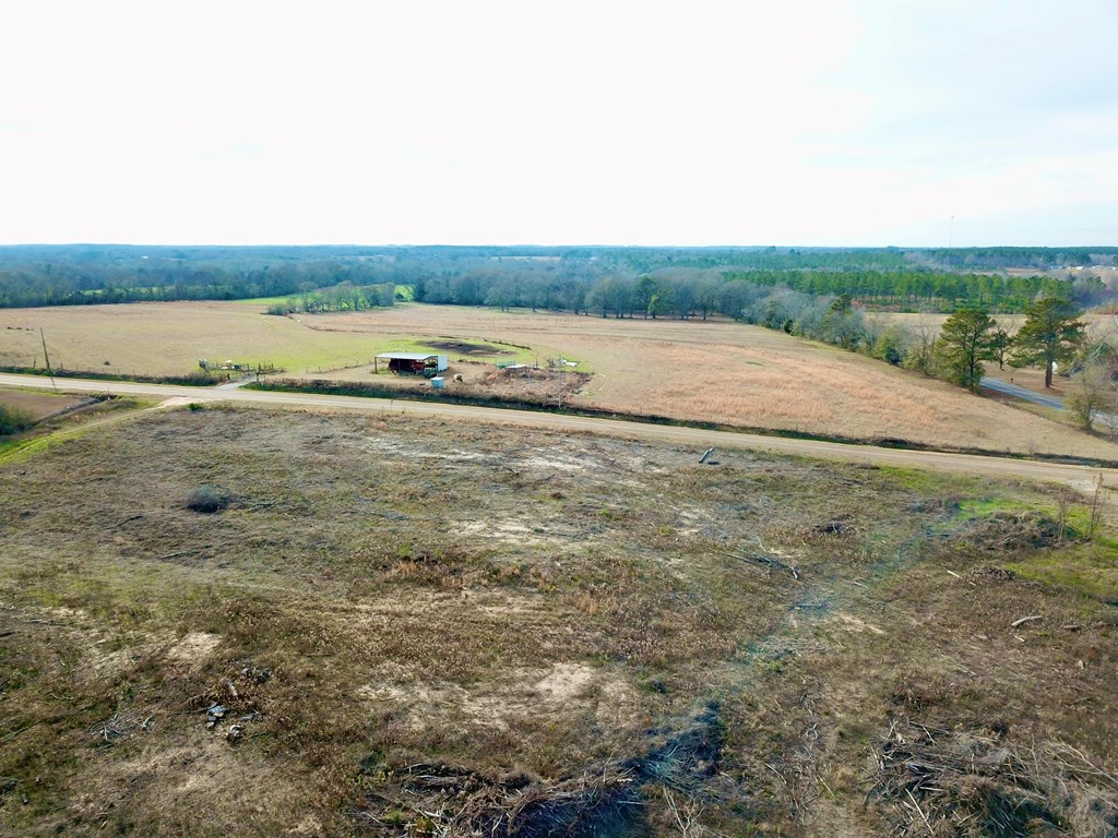 20-acres Hudson Road Columbia, AL 36319 - Photo 6 of 40