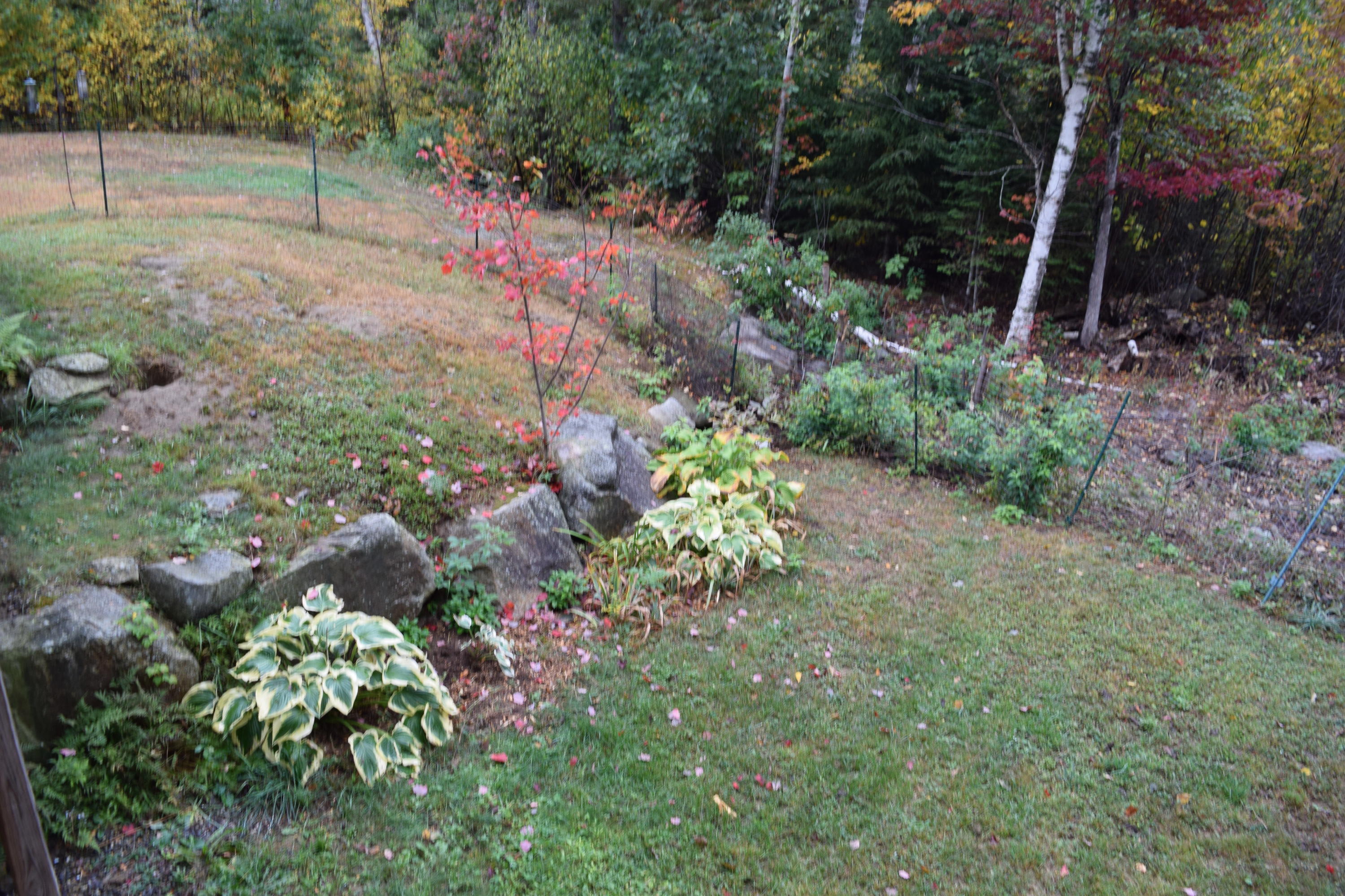 78 Rocky Road Northport, ME 04849 - Photo 24 of 24 DSC_0361