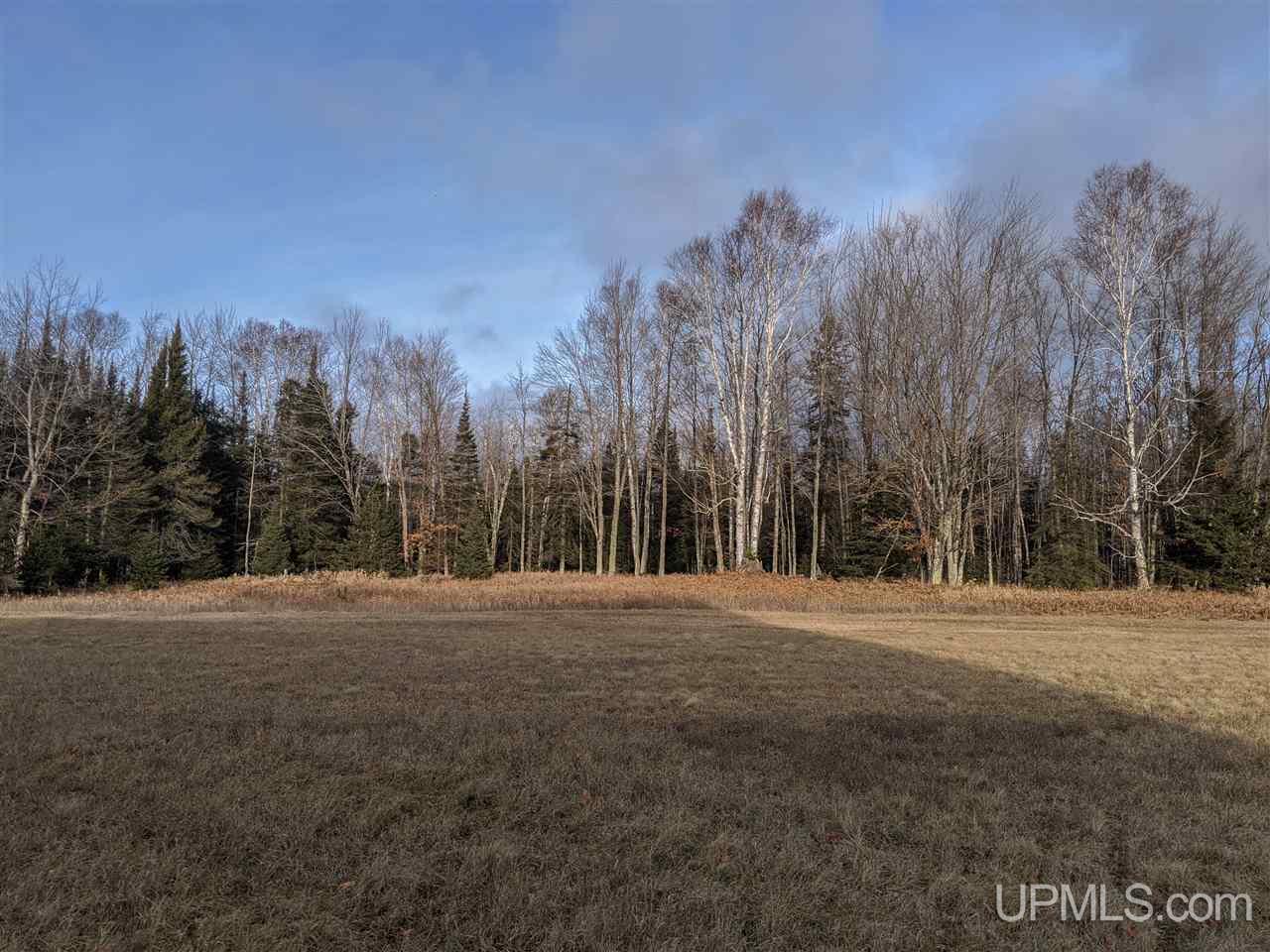 11851 Co Road Cornell, MI 49818 - Photo 33 of 49