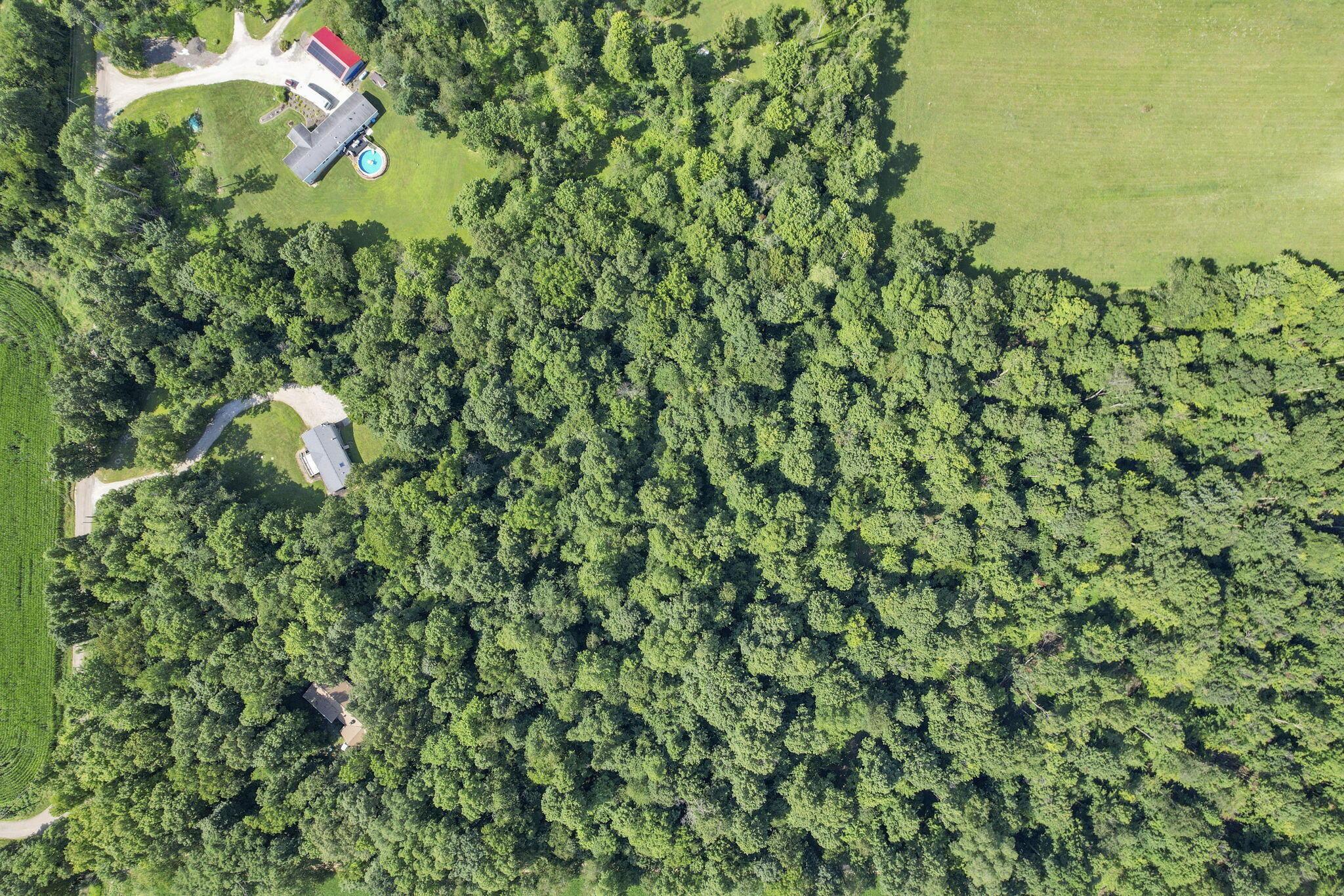 19600 Hampshire Road Utica, OH 43080 - Photo 63 of 70 66-web-or-mls-DJI_0218
