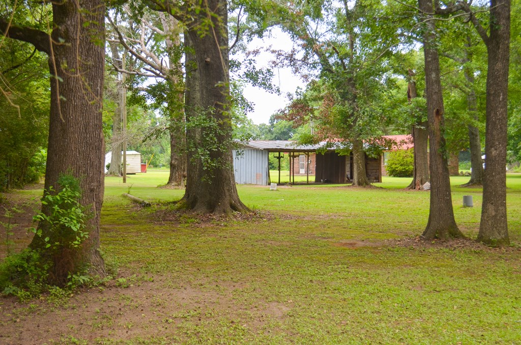 225 Royce Lane Dothan, AL 36305 - Photo 22 of 31