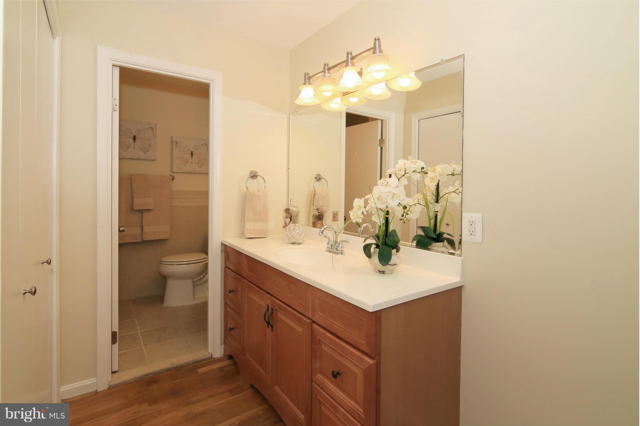 6705 Red Jacket Road Springfield, VA 22152 - Photo 17 of 30 Master Bedroom Dressing Area