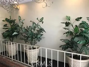 a view of road with trees