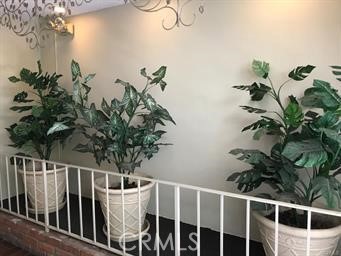 4255 West 5th Street, Unit 203 Los Angeles, CA 90020 - Photo 23 of 25 a view of a flower pot with wooden floor