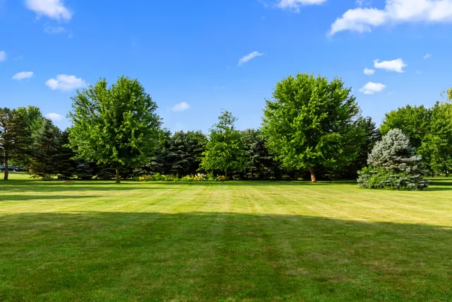 a view of a golf course with a trees