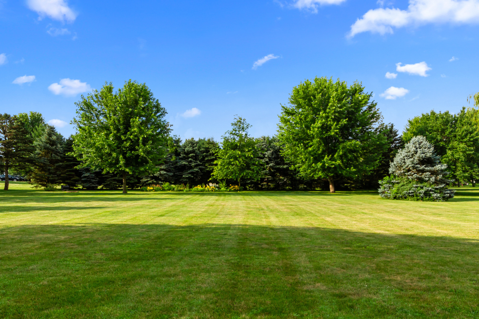 23201 Norma Lane Harvard, IL 60033 - Photo 19 of 24 a view of a golf course with a trees