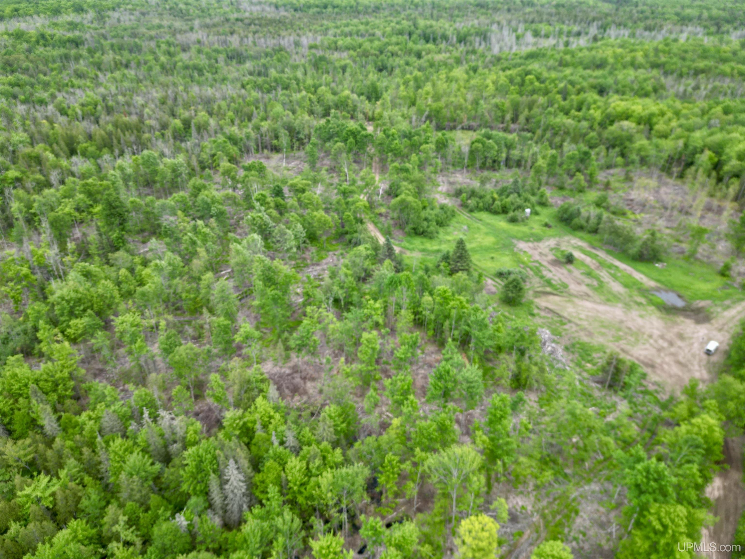 3601 Cr444 Road Rock, MI 49880 - Photo 5 of 78