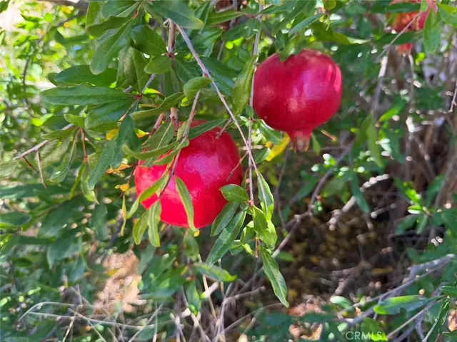a view of lake and mountain