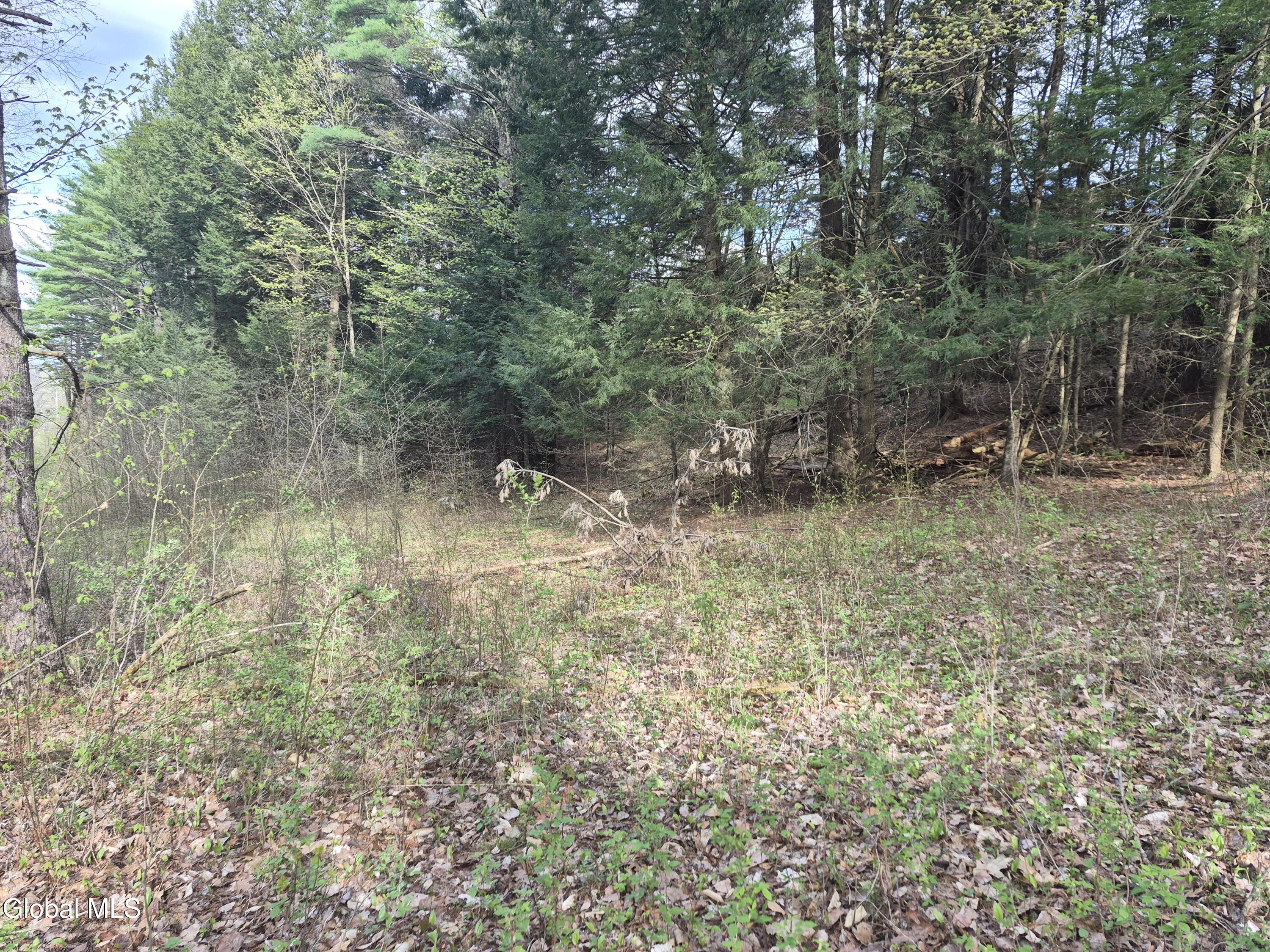 L2.6 Goodman Road Fort Ann, NY 12827 - Photo 5 of 10 20260501_170348