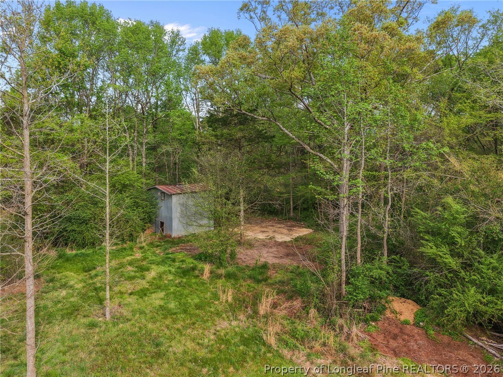 186 Lewis Brown Road Bennett, NC 27208 - Photo 38 of 48 a view of a back yard
