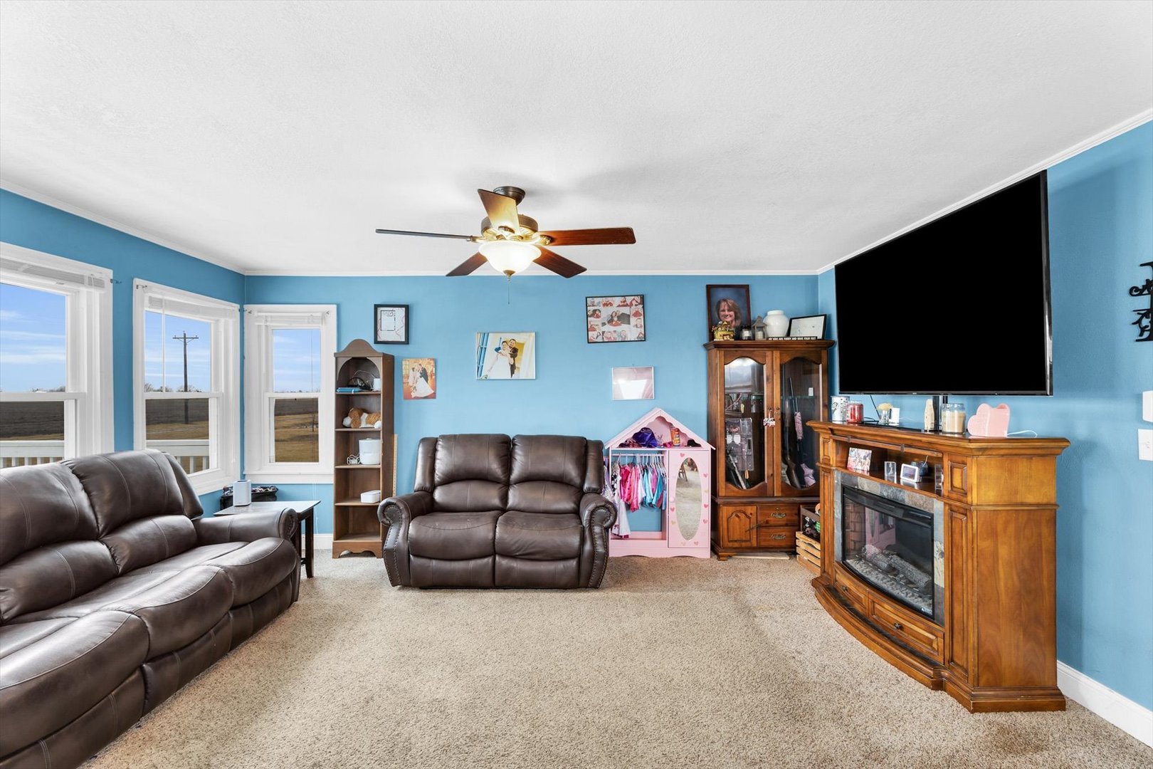 446 East 950 North Road Buckley, IL 60918 - Photo 8 of 36 Gallery Image 8